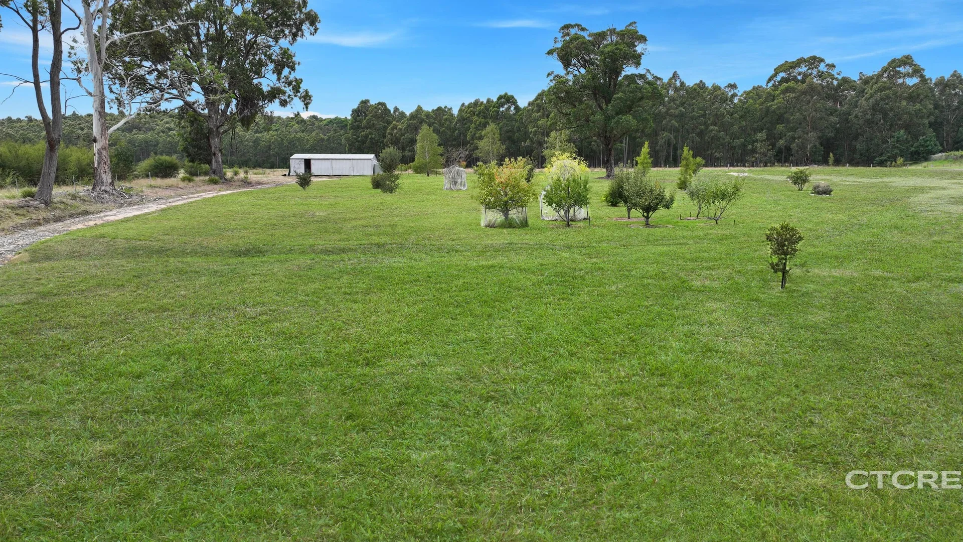 Additional image 7 of 177 Tamboon Road, Cann River VIC 3890