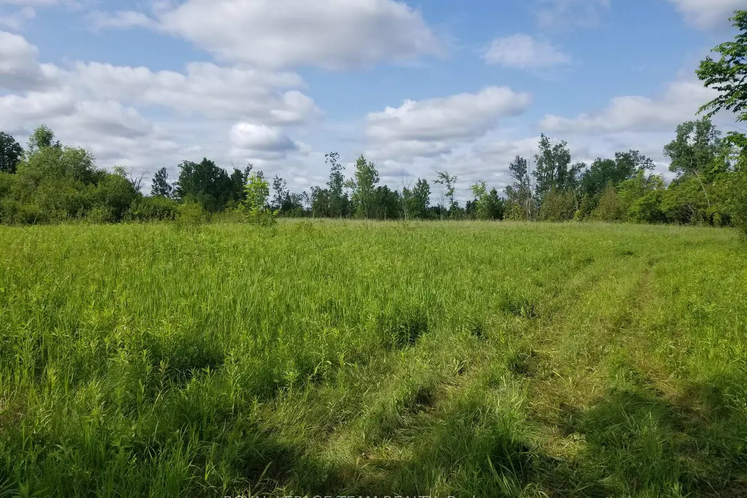 Additional image 5 of 0000 Scrivens Drive