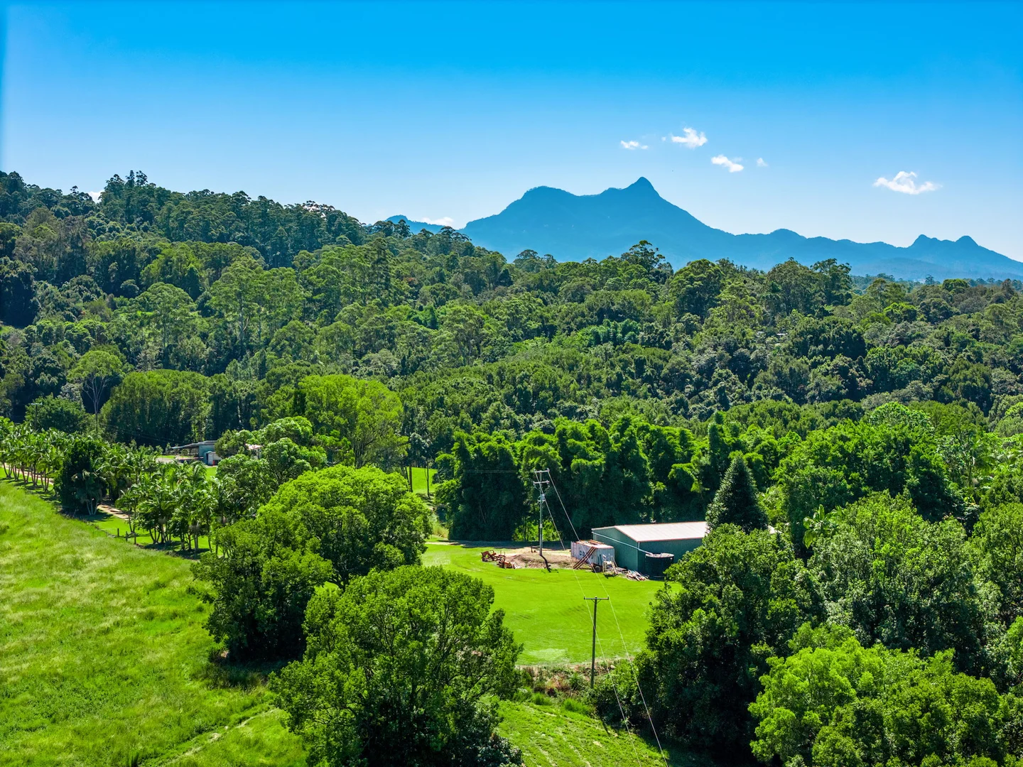 Additional image 30 of 61 Tallowood Road, Lillian Rock NSW 2480