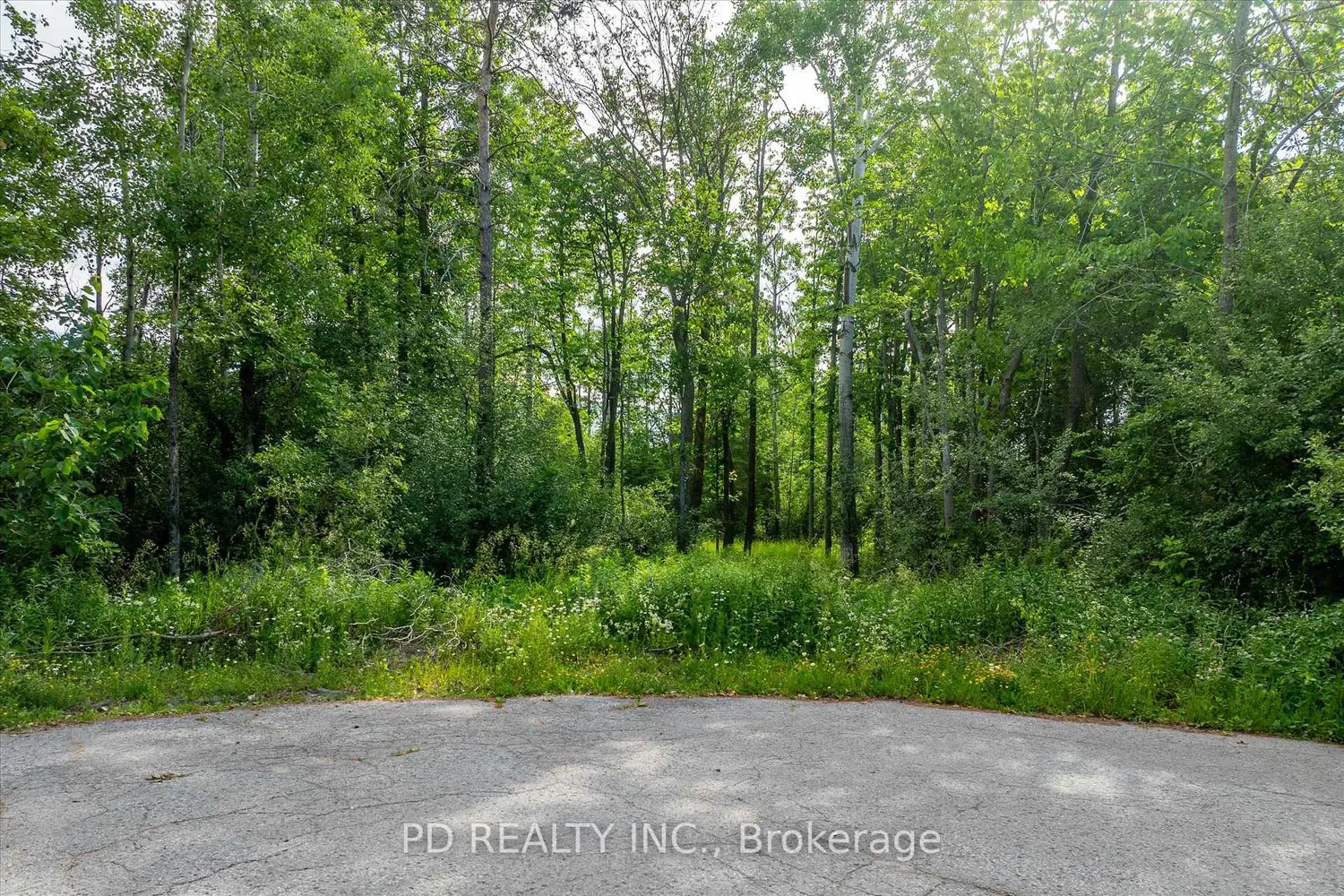 Additional image 18 of N/A Alma Street