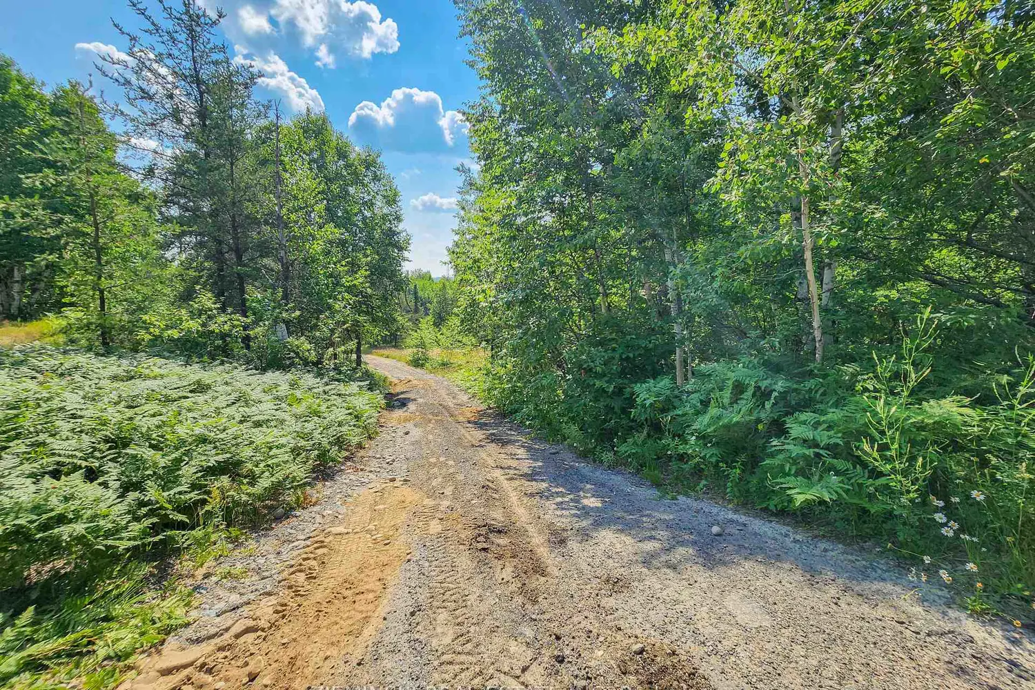 Additional image 7 of Lot 3 Plan 6M499, North Munro Lake Road