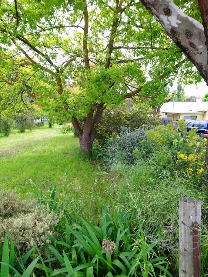 Additional image 2 of 62 Brigade Avenue, Campbells Creek VIC 3451