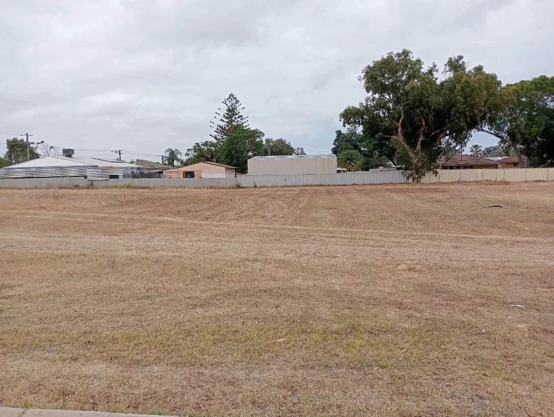 Additional image 4 of 3 Craine Place, Spalding WA 6530