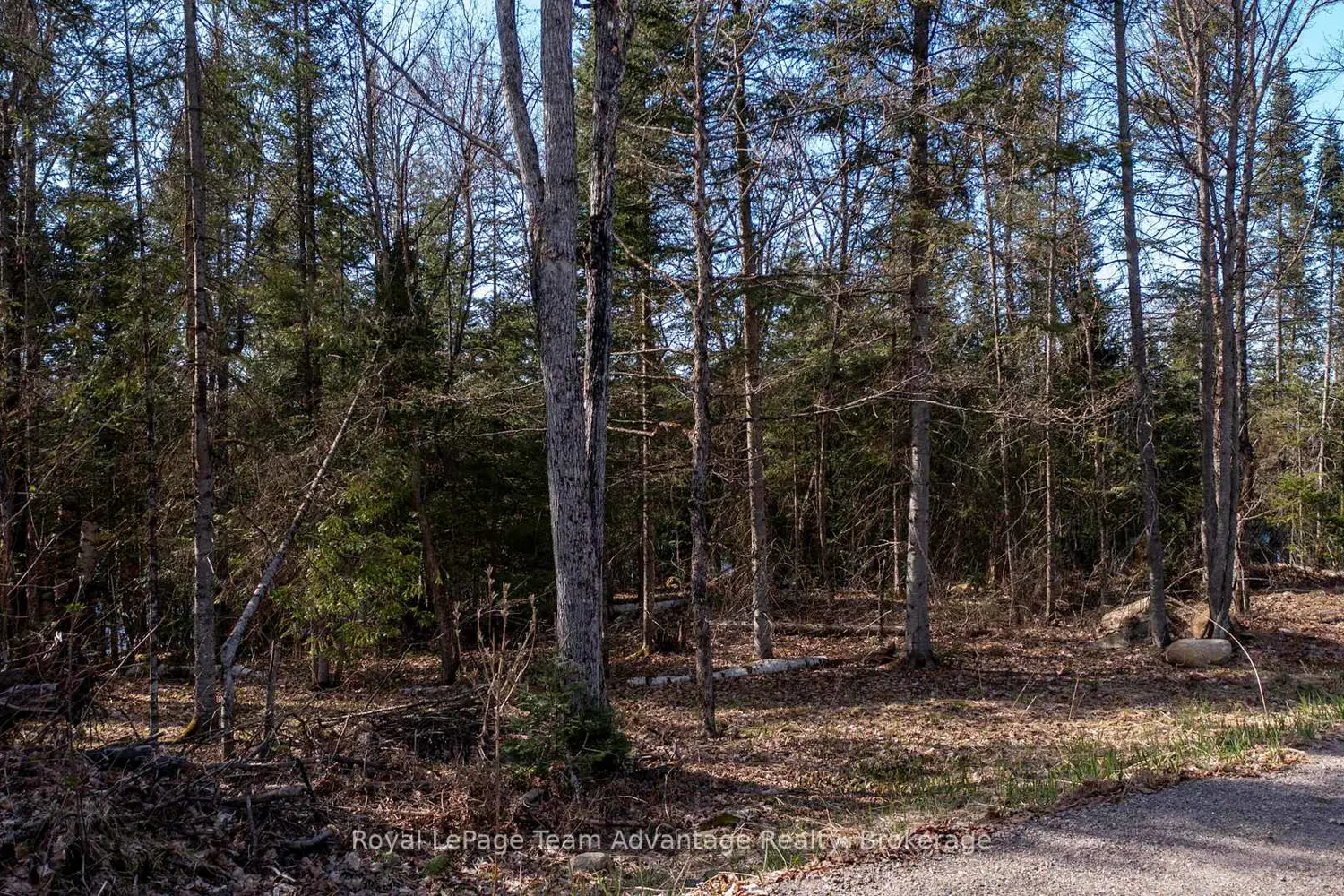 Additional image 3 of Lot 2 Greenwood Way