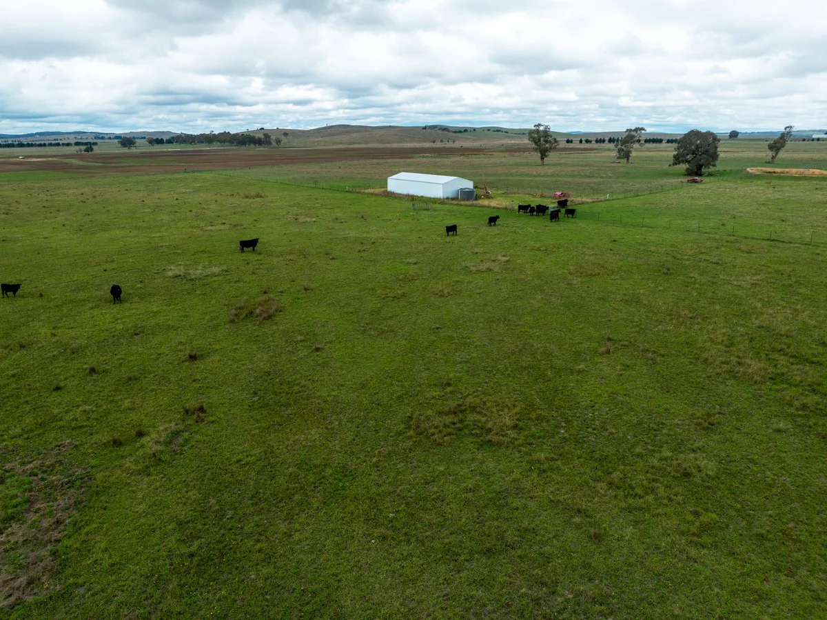 1706 Braidwood Road, Tarago NSW 2580