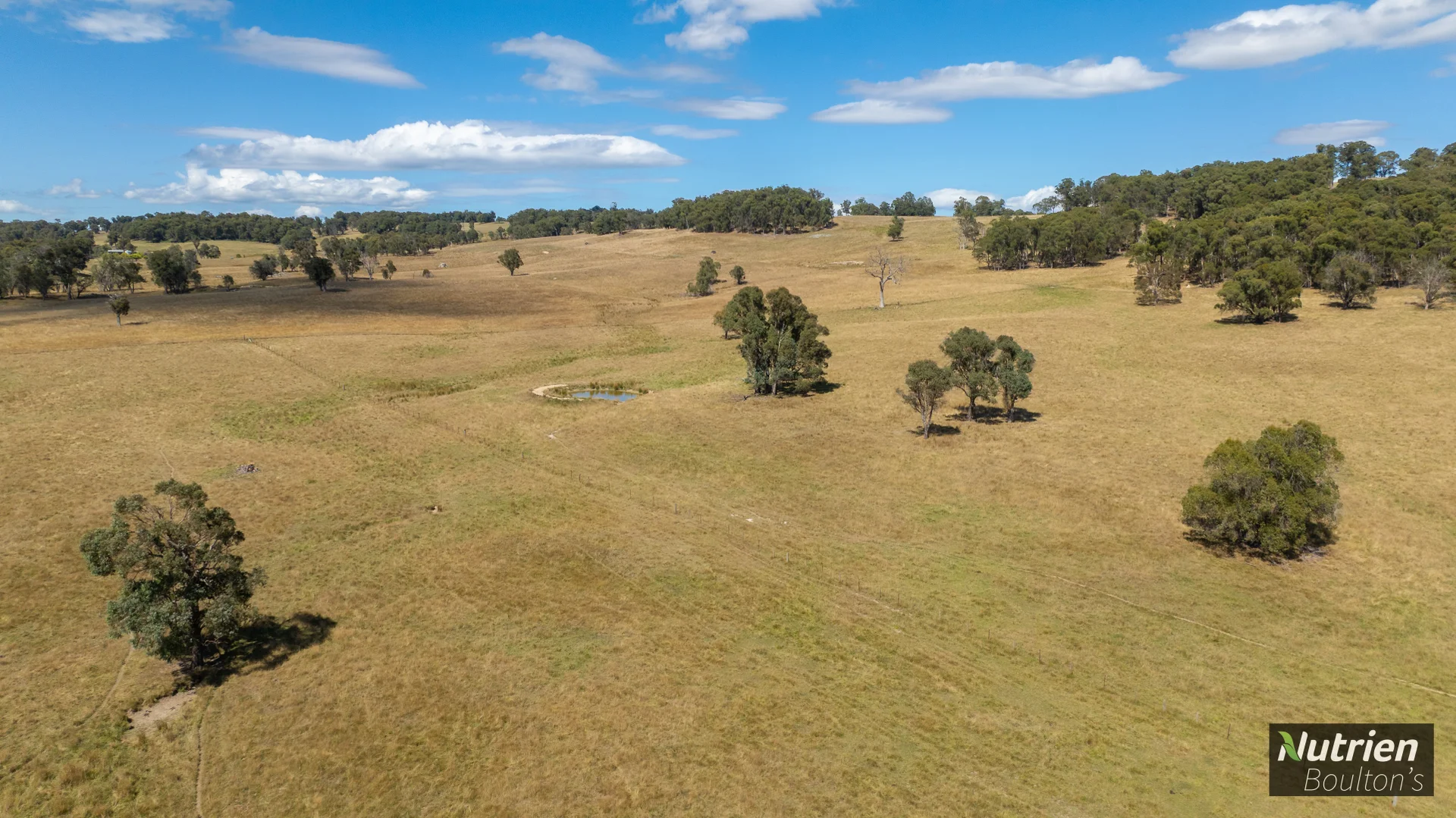 Additional image 38 of 224 Niangala-Walcha Road, Niangala NSW 2354