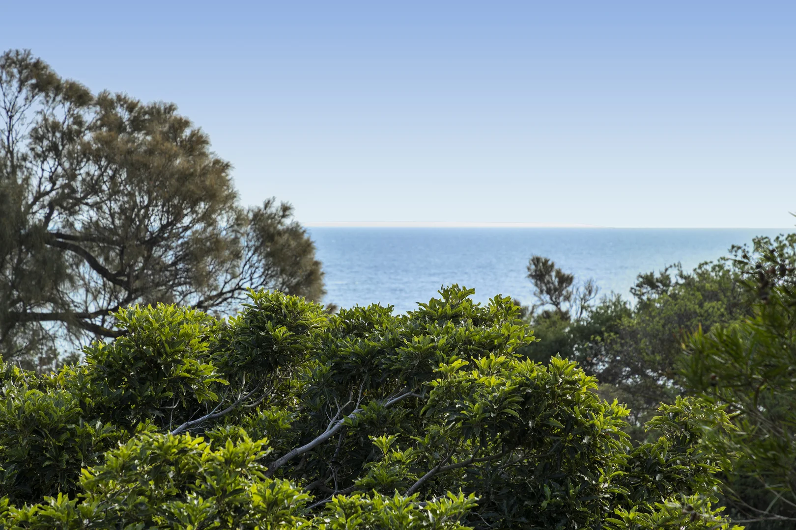 Additional image 10 of 228a Beach Road, Black Rock VIC 3193