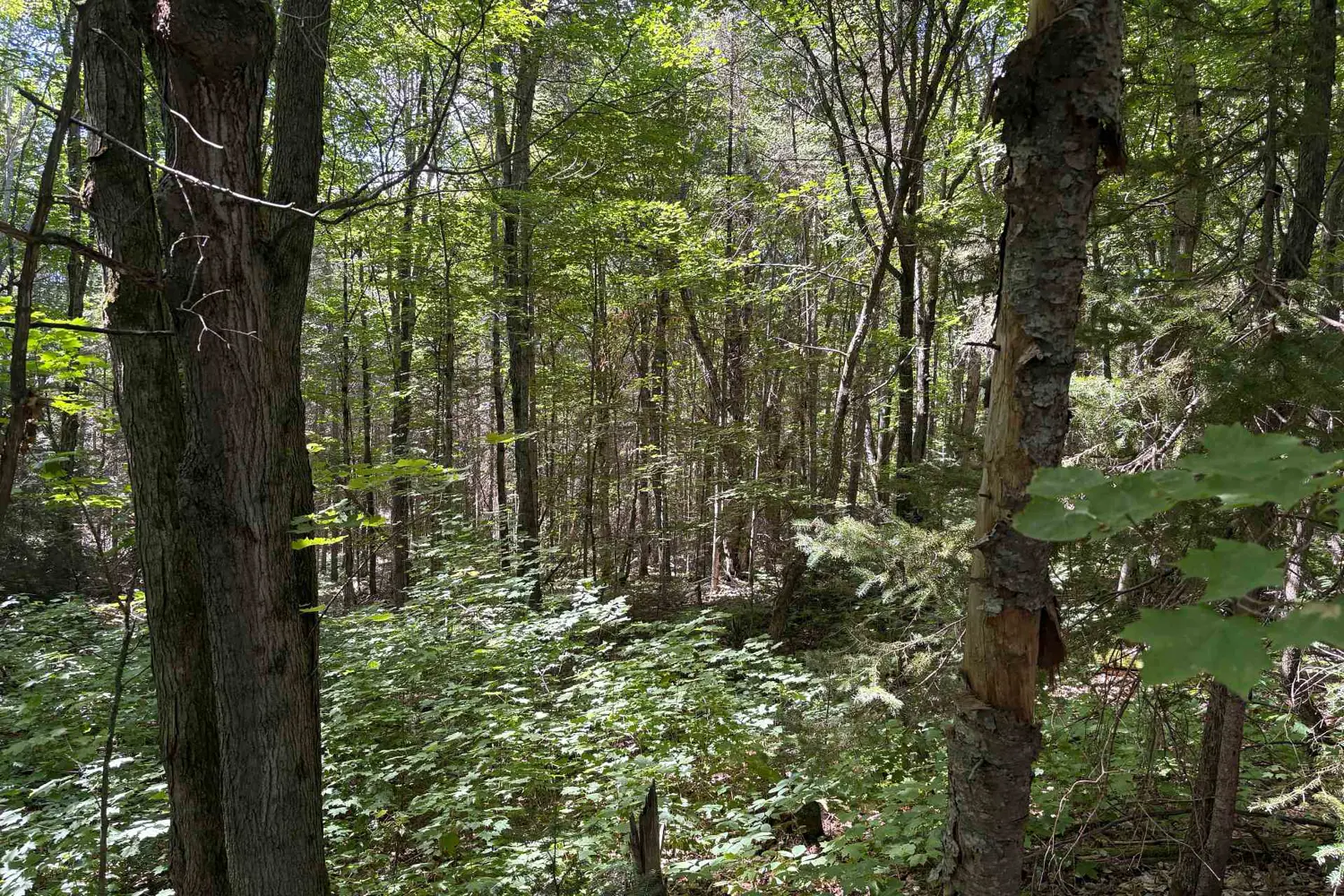Additional image 6 of 0 Hemlock Road