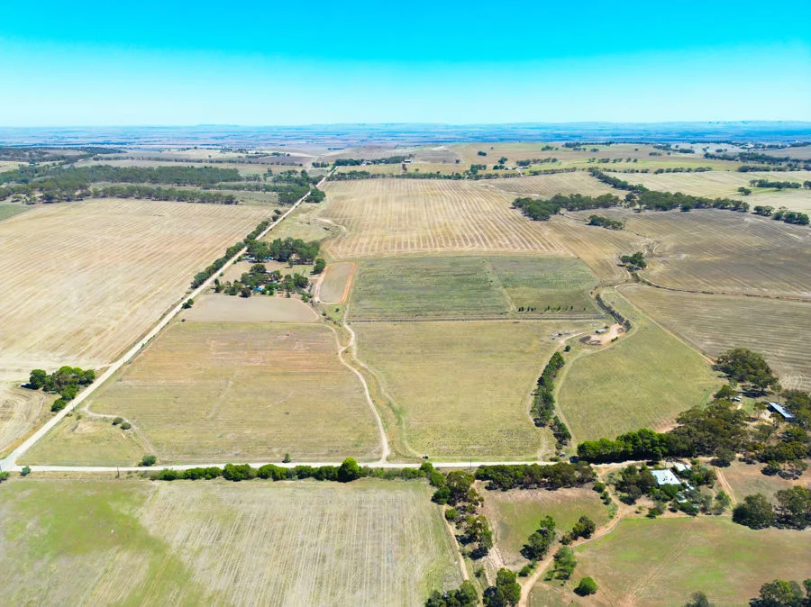 235 Basham Road, Stanley Flat SA 5453 photo 5
