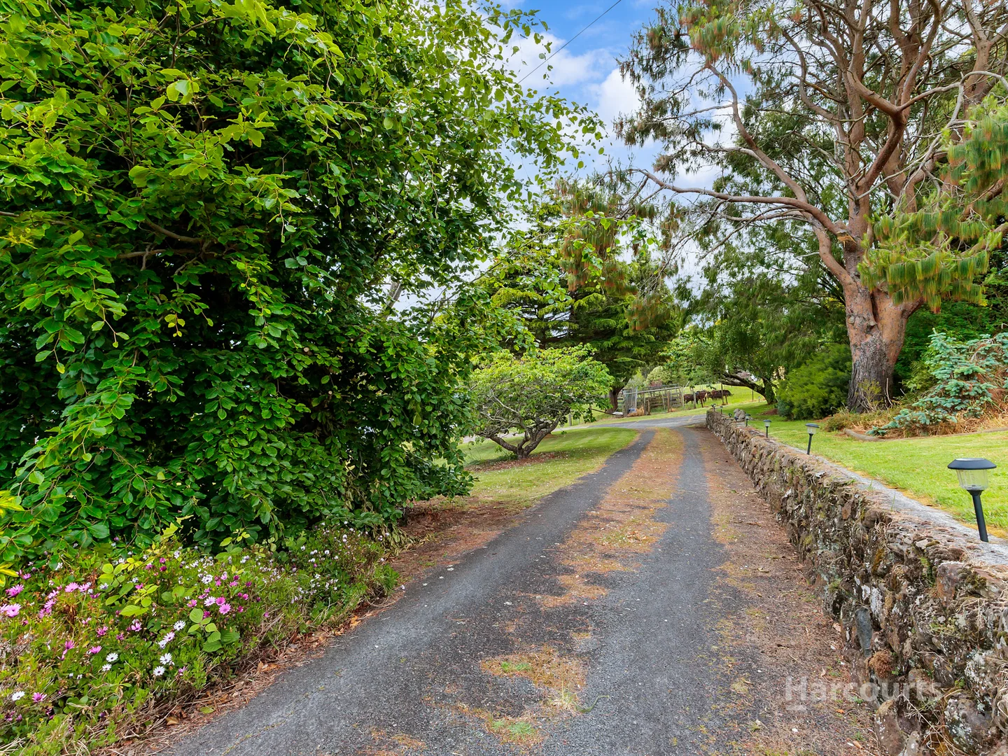 Additional image 41 of 165 West Mooreville Road, East Cam TAS 7321