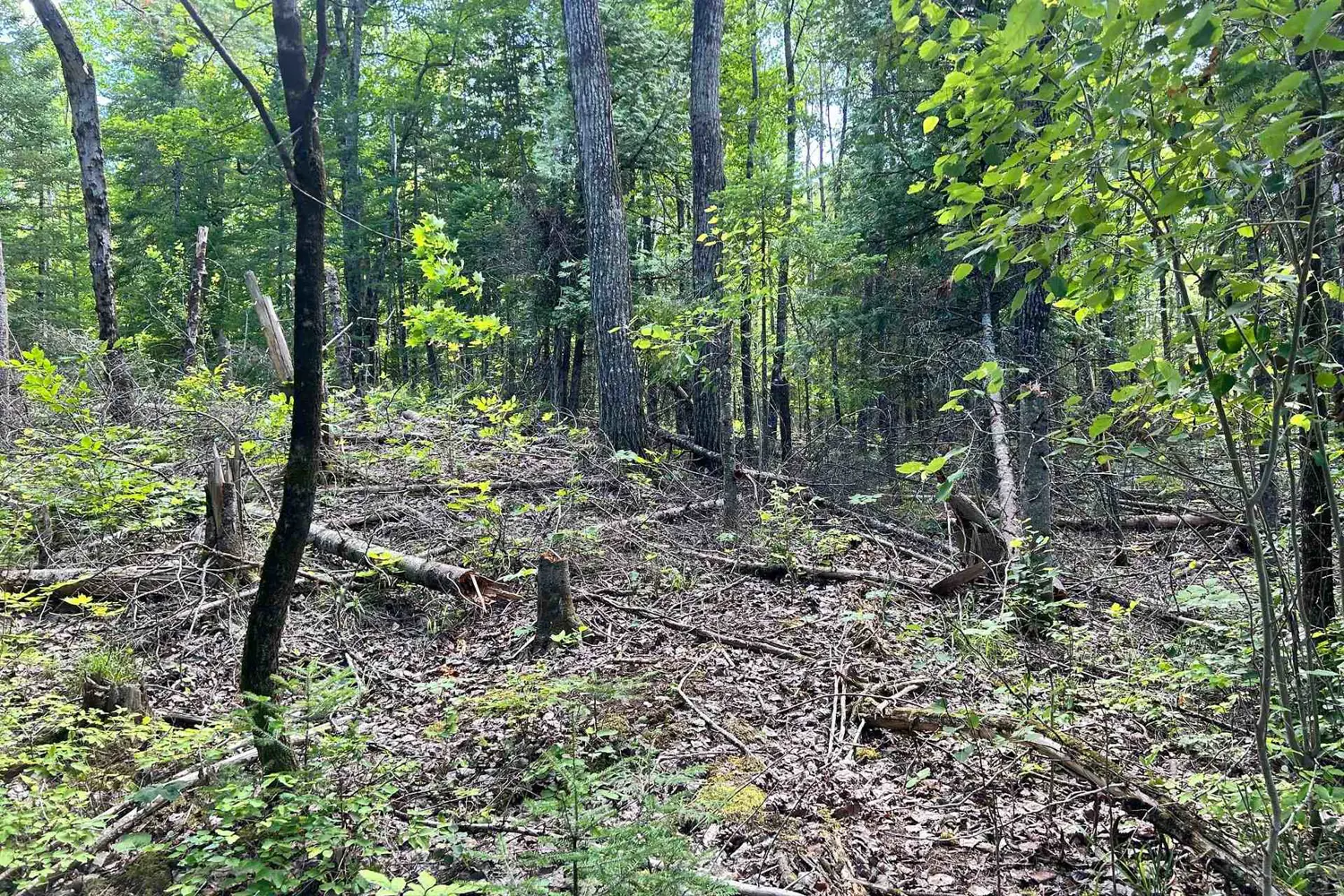 Additional image 6 of 0 Trebbien Road