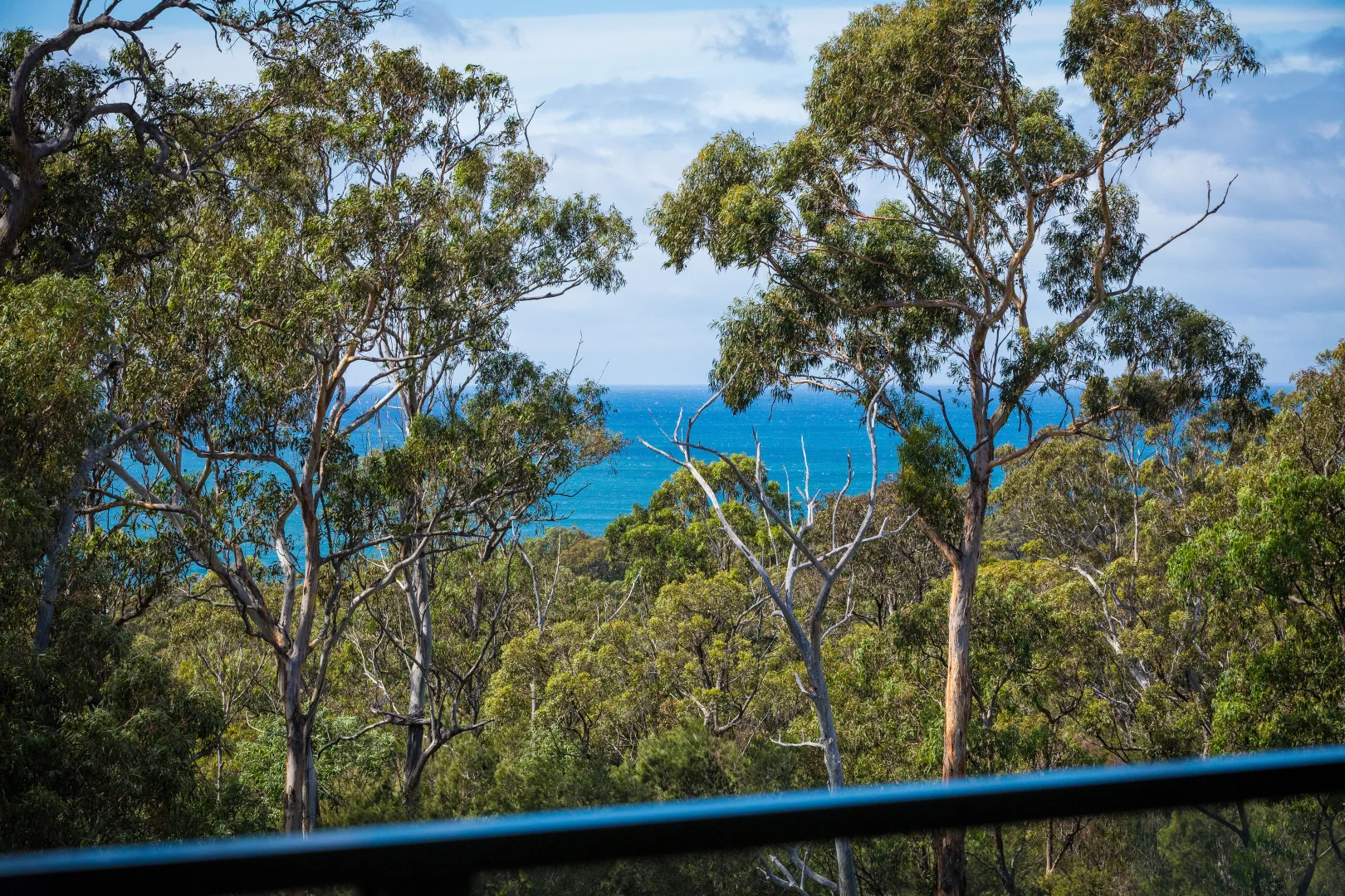 Additional image 4 of 162 Mirador Drive, Mirador NSW 2548