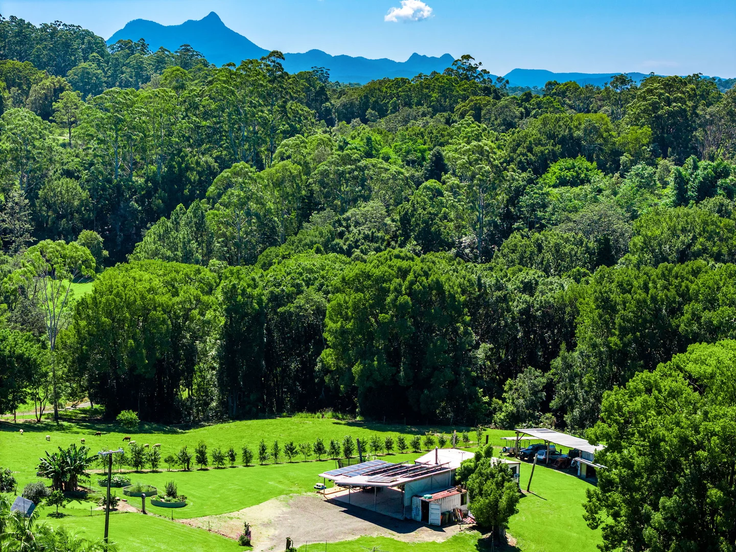 Additional image 31 of 61 Tallowood Road, Lillian Rock NSW 2480