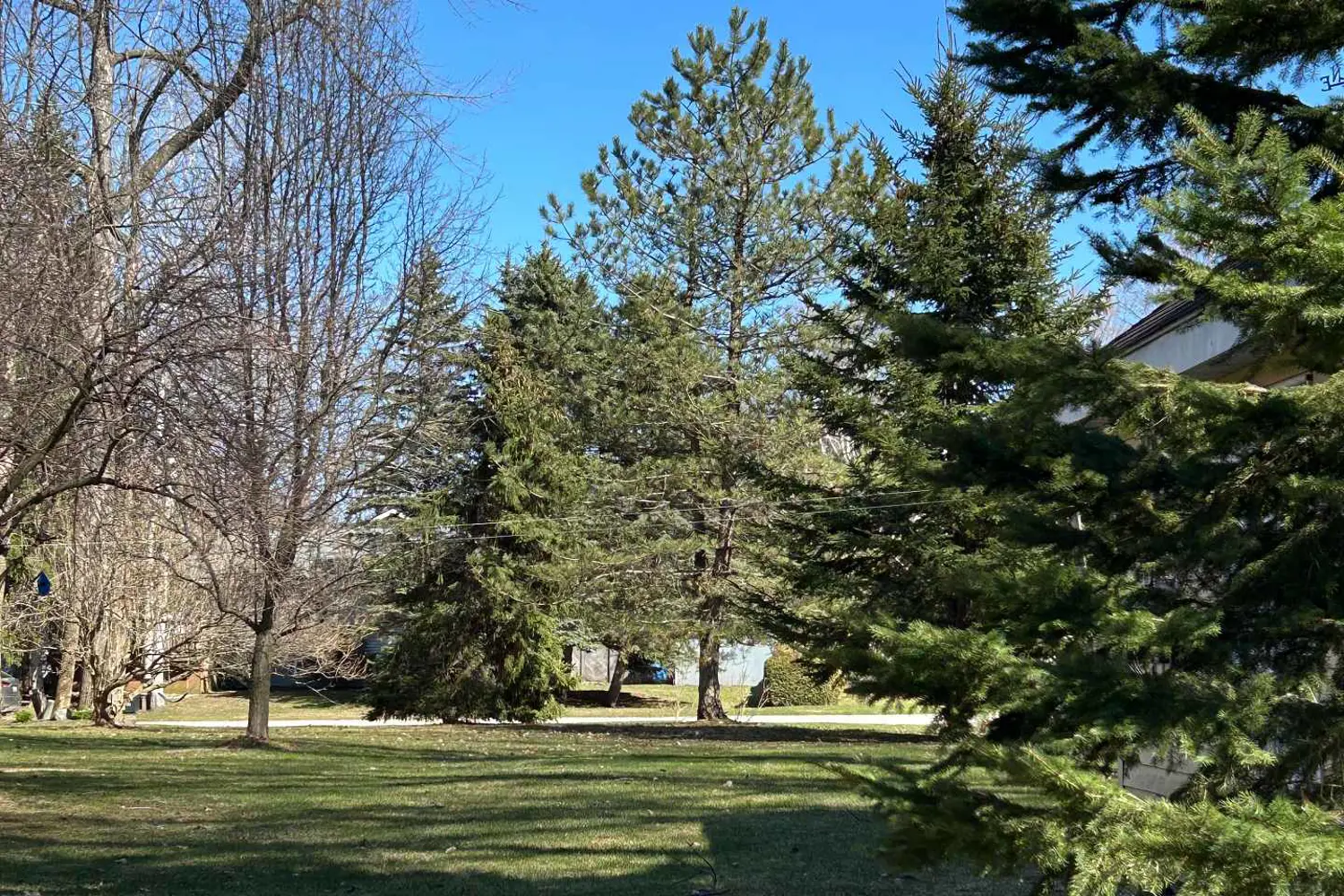 Additional image 12 of 13 Pollard Drive