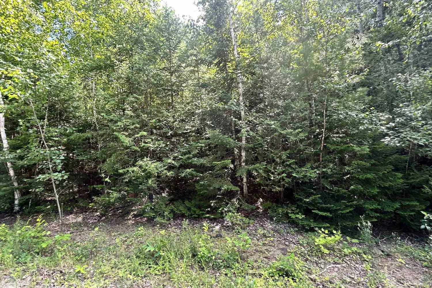Additional image 2 of 0 Trebbien Road