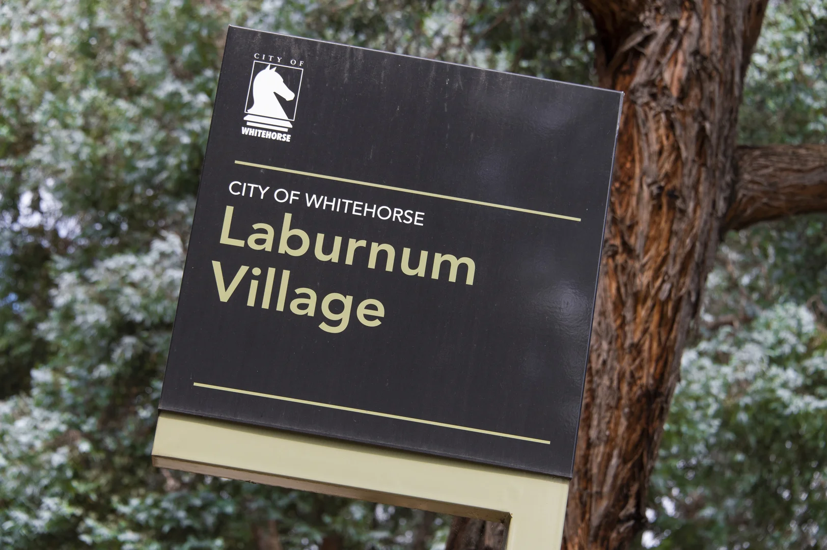 Additional image 9 of 7/106 South Parade, Blackburn VIC 3130