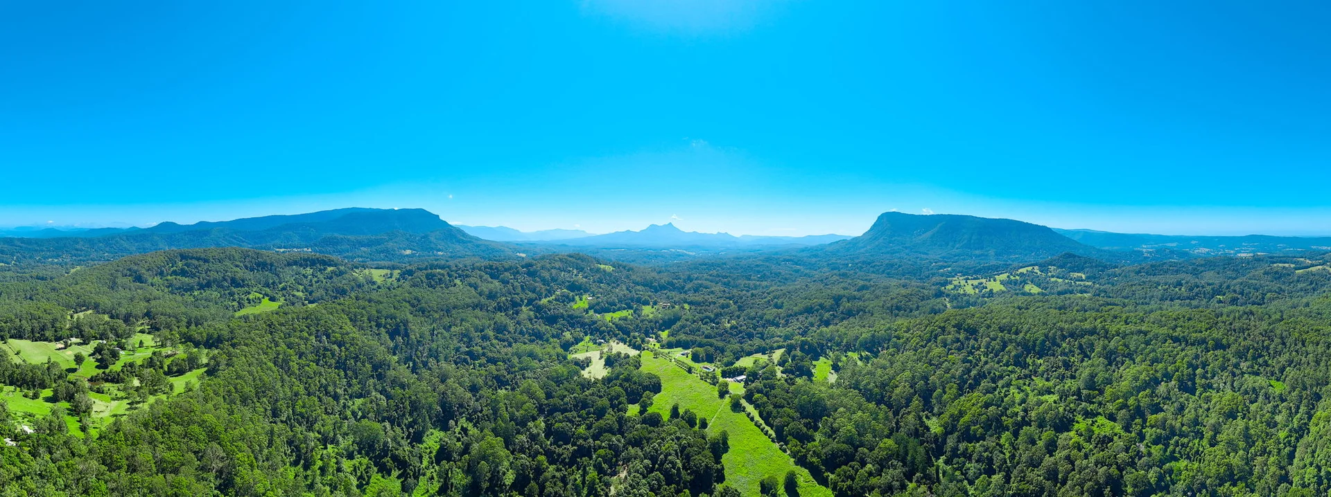 Additional image 46 of 61 Tallowood Road, Lillian Rock NSW 2480