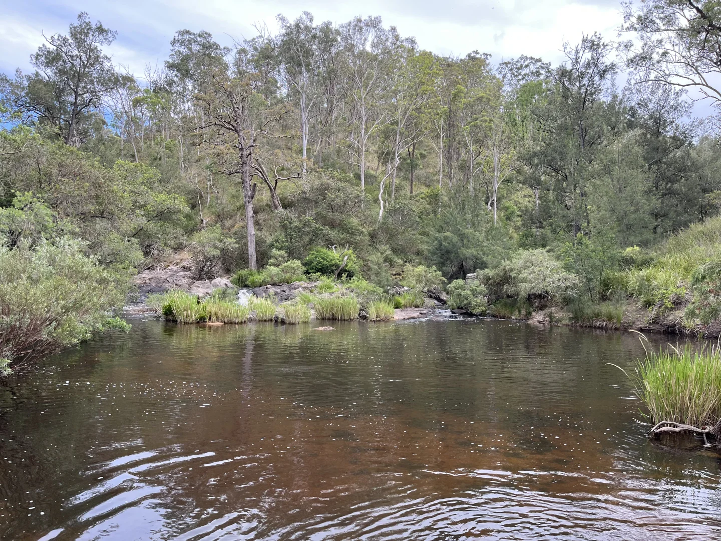 Additional image 2 of 7266 Mount Lindesay Road, Liston NSW 2372