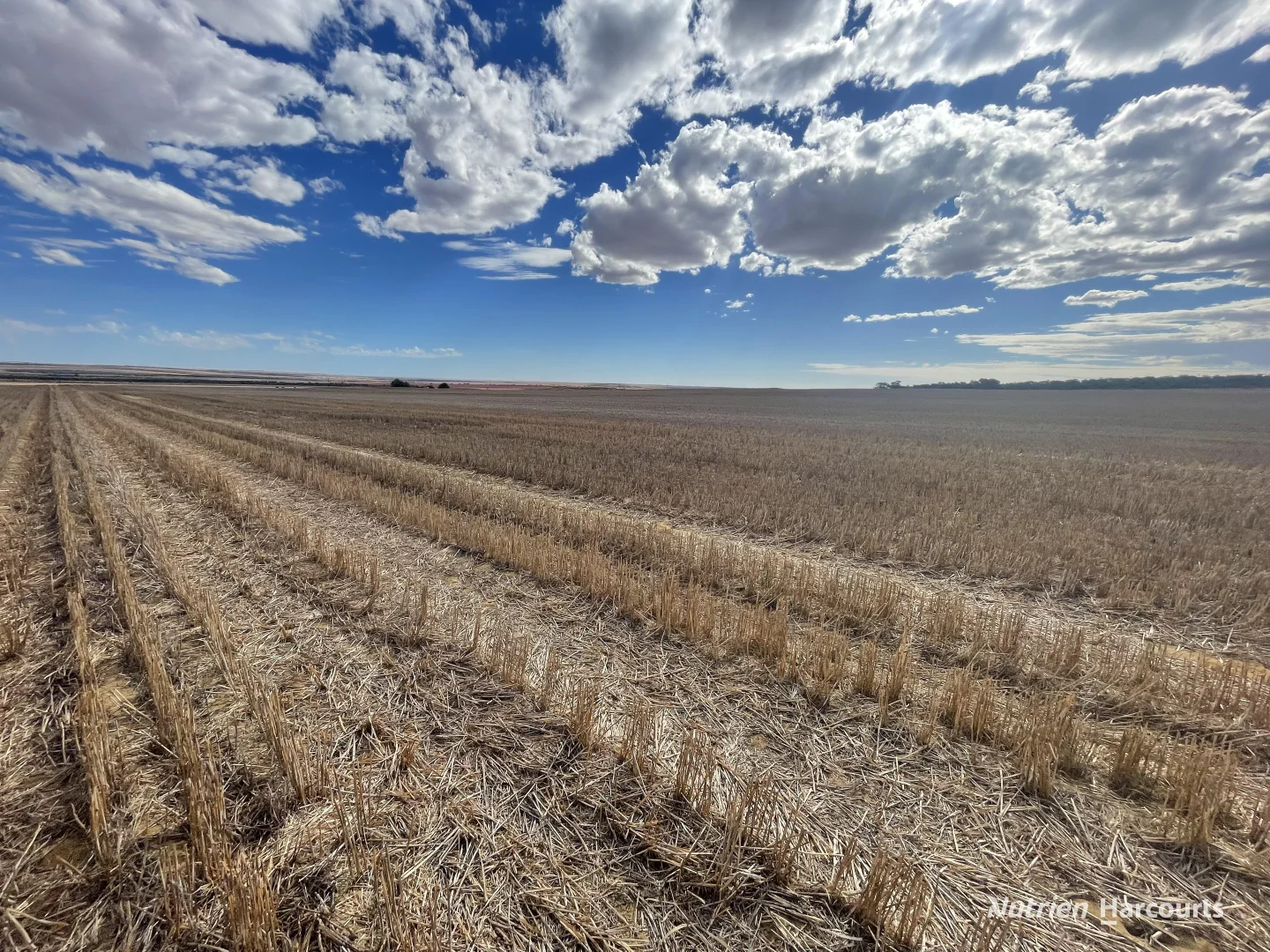 Additional image 15 of . McRoberts Road, Tenindewa WA 6632