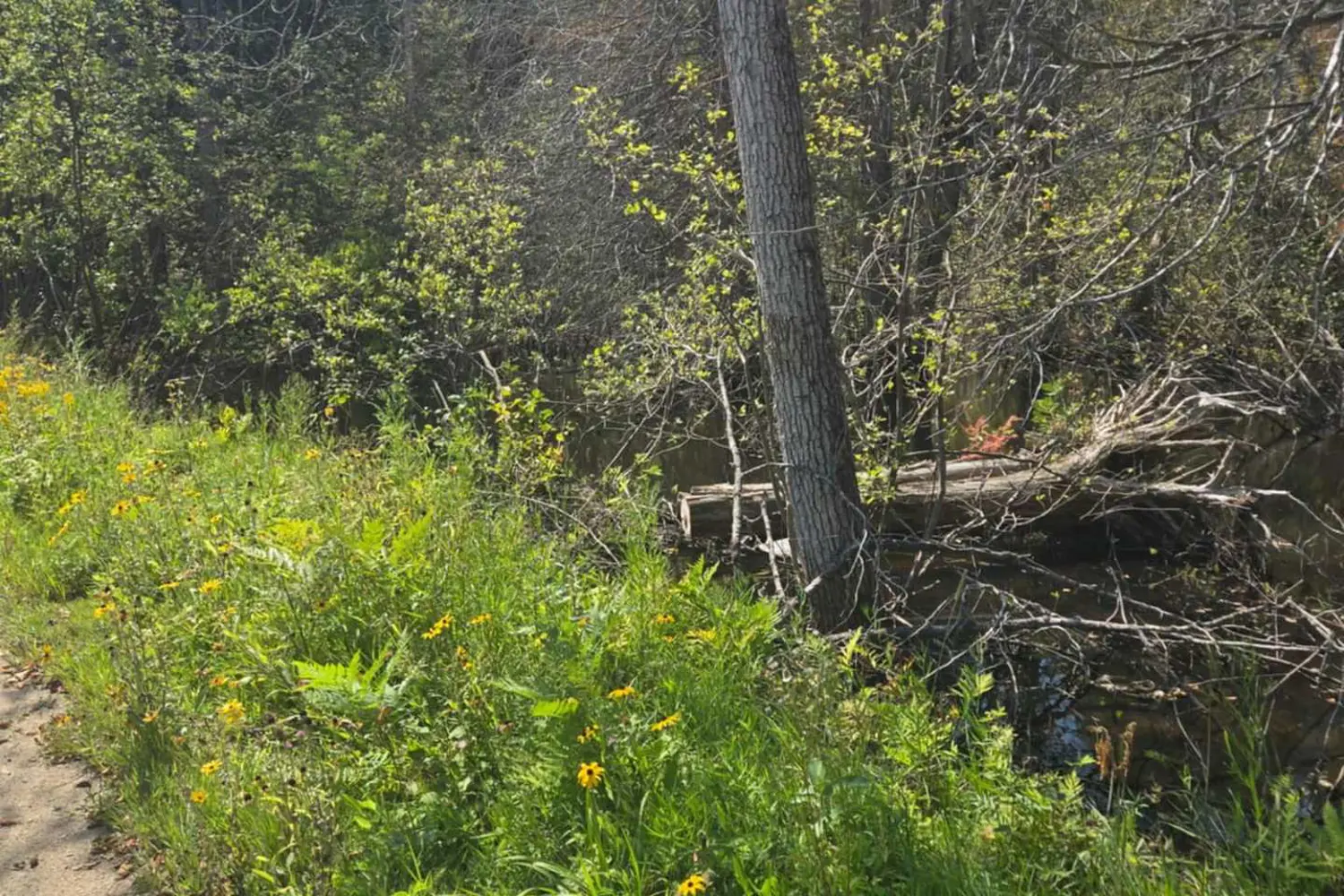 Additional image 3 of 0 Macduff Road Acres