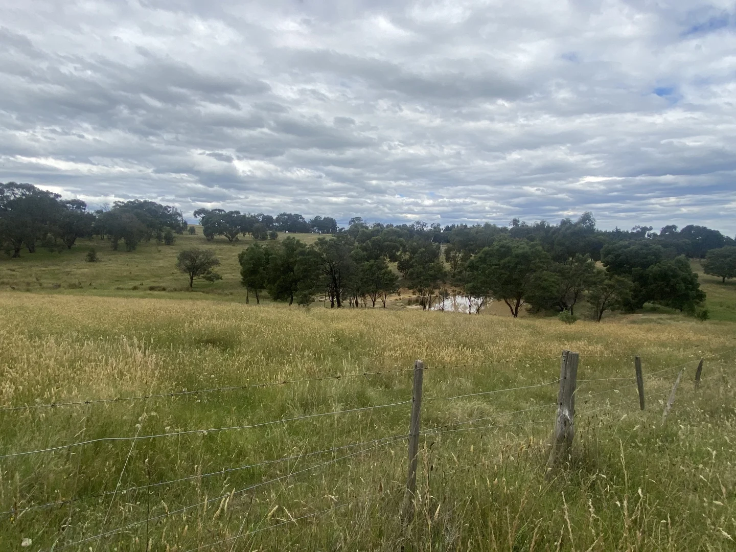 Additional image 7 of 65 Braemore Place, Beveridge VIC 3753