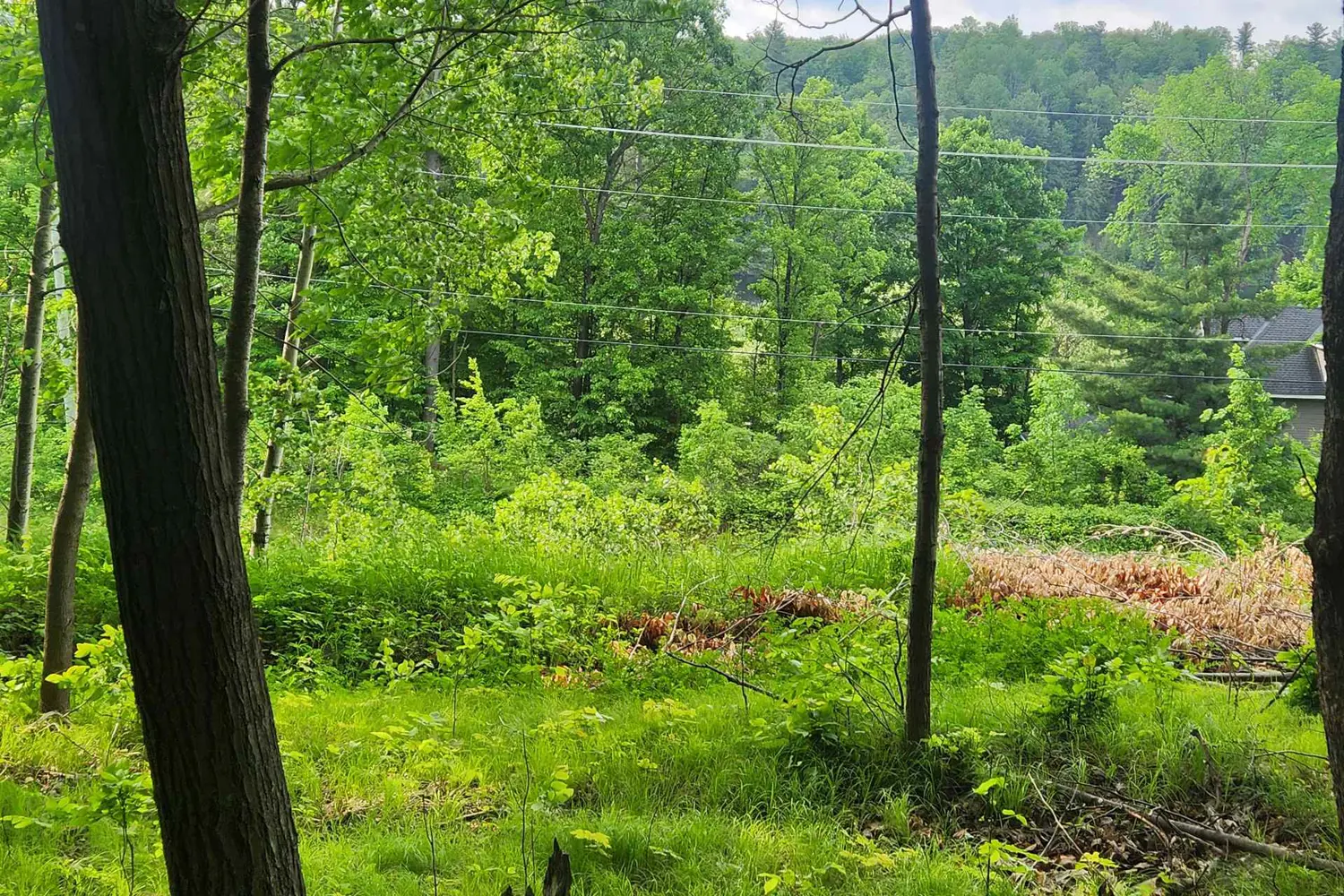 1680 Calabogie Road photo 4