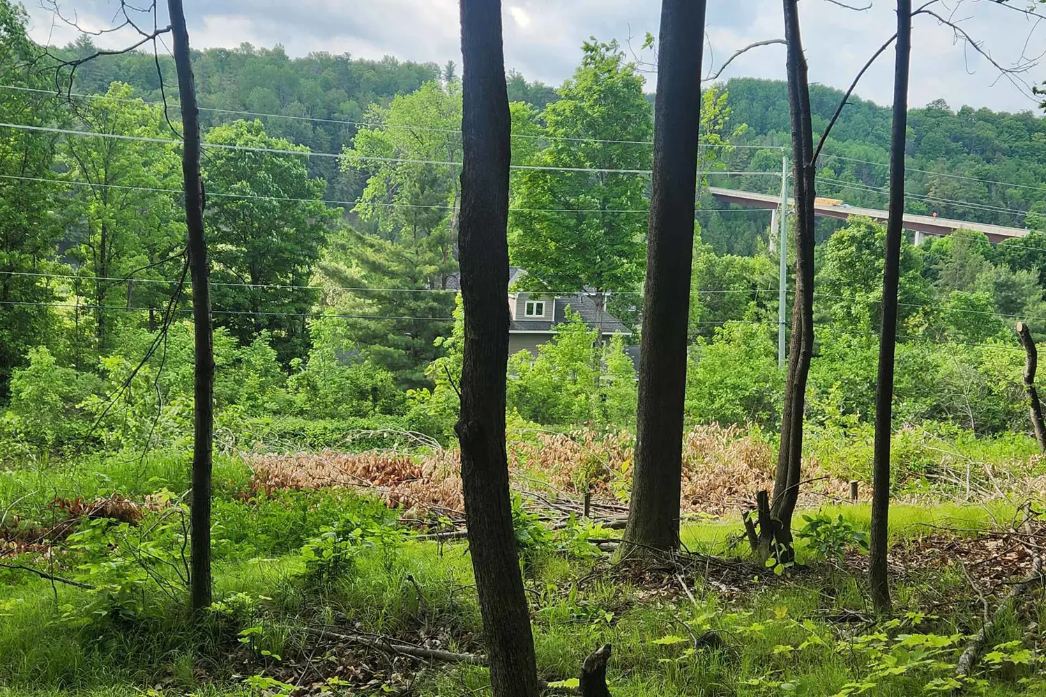 1680 Calabogie Road photo 5