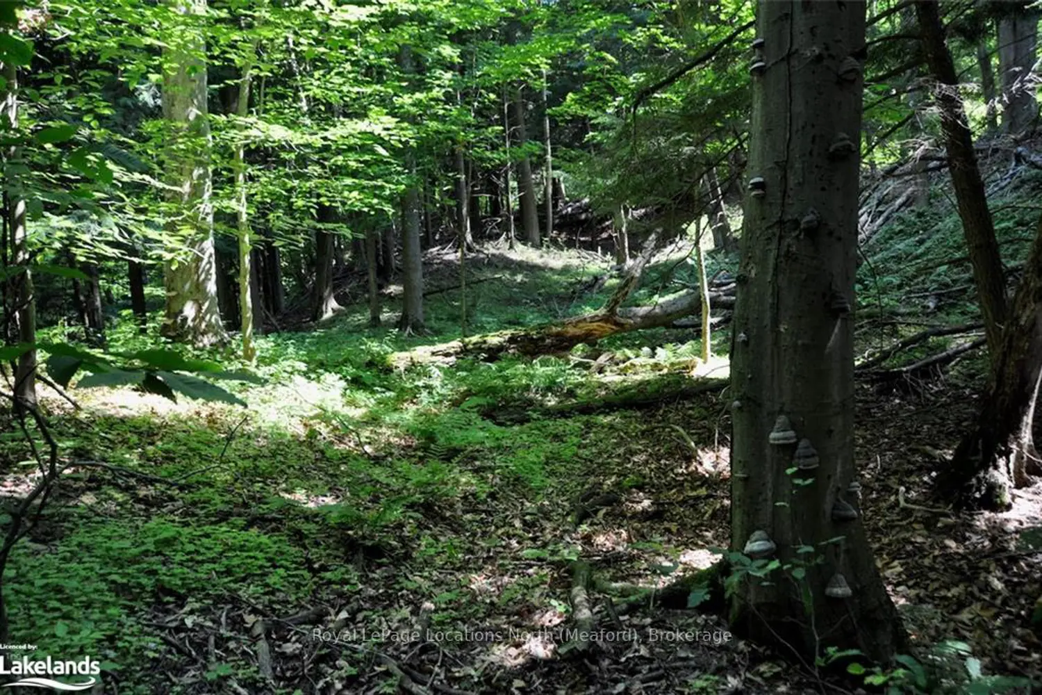 Additional image 11 of Lot 21 Bayshore Road