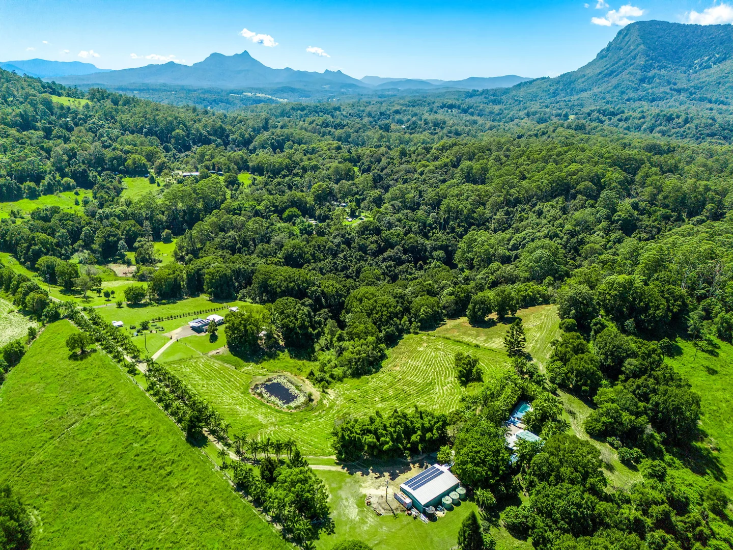 Additional image 38 of 61 Tallowood Road, Lillian Rock NSW 2480