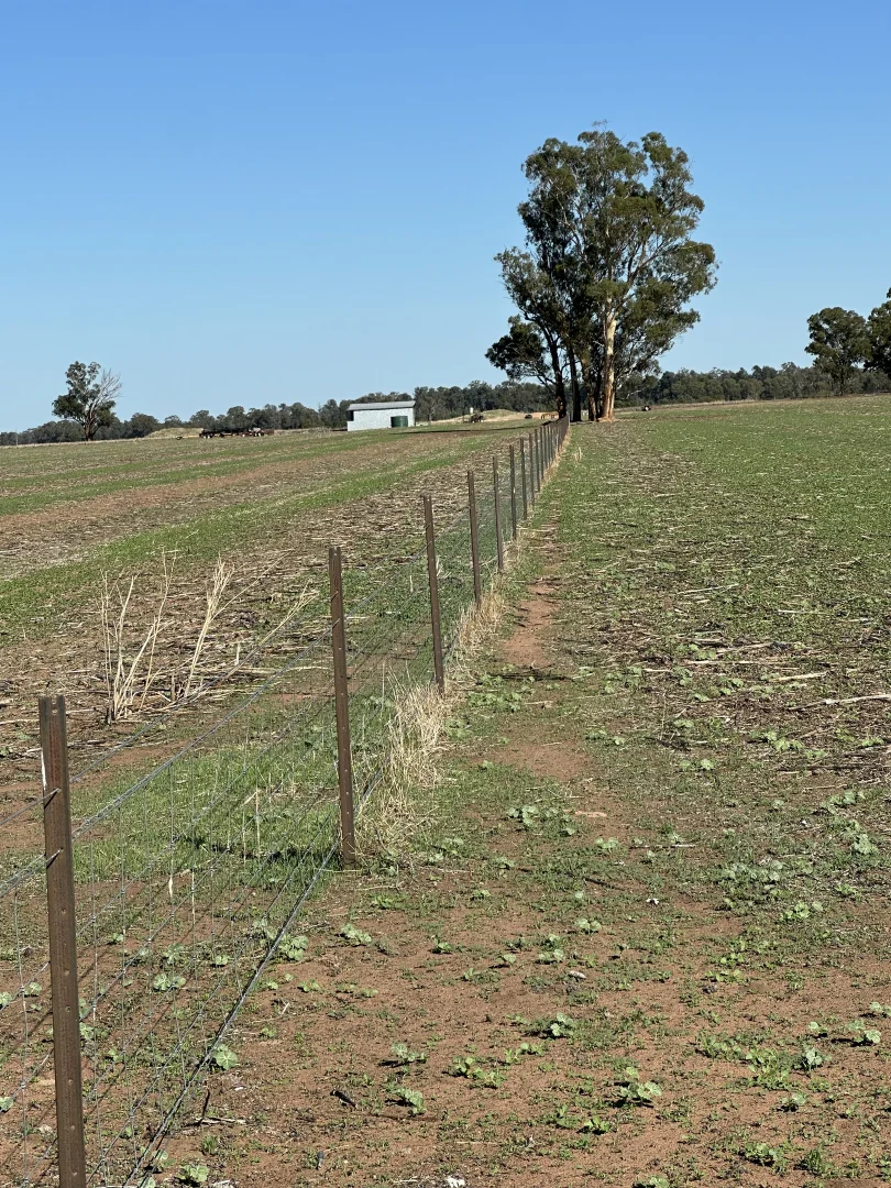 Additional image 11 of . Lilydale Road, Balldale NSW 2646