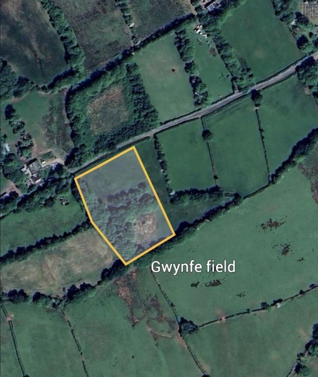 Land for saleGwynfe, Llangadog SA19