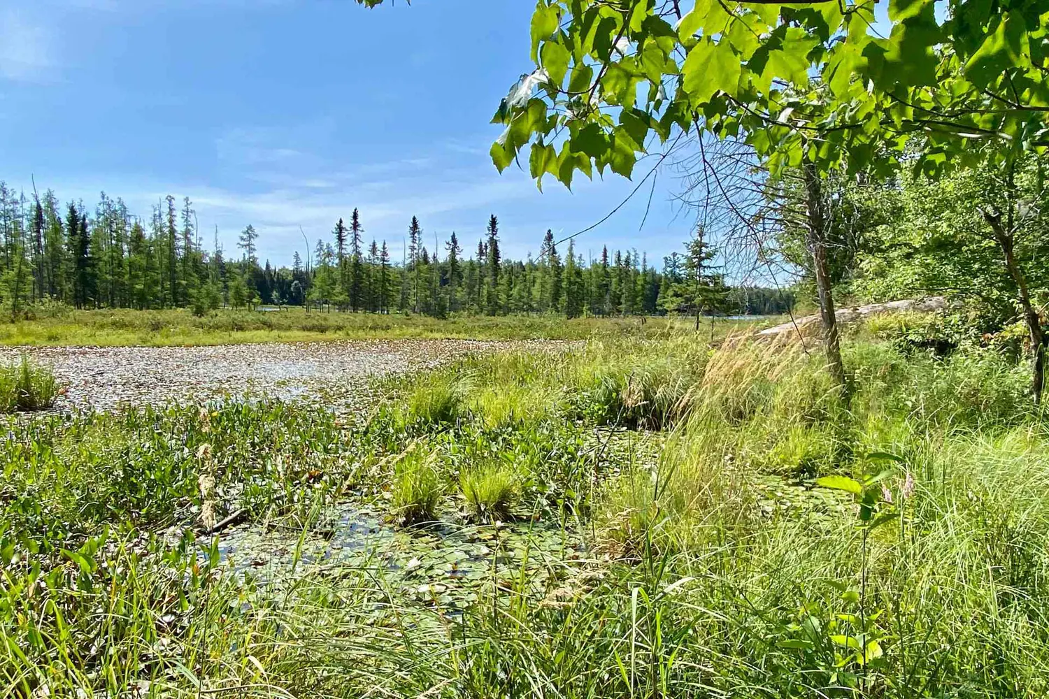 Additional image 5 of 0 Conc. Rd 10 And 11 Concession