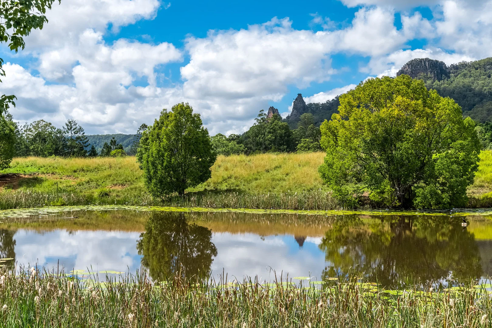 Additional image 19 of 219 Stony Chute Road, Nimbin NSW 2480