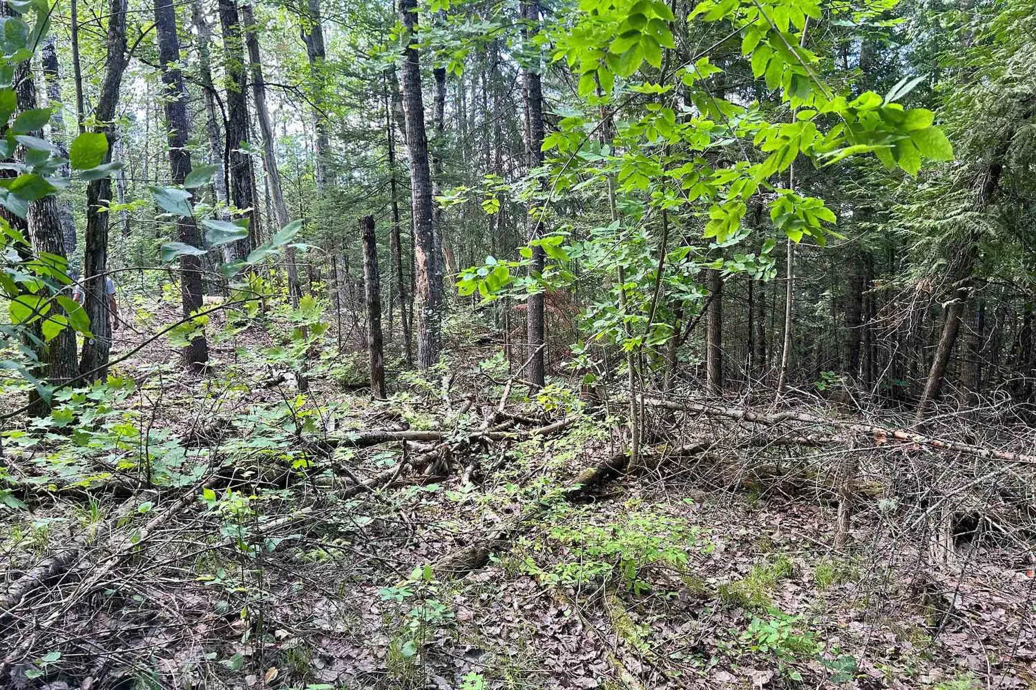 Additional image 4 of 0 Trebbien Road