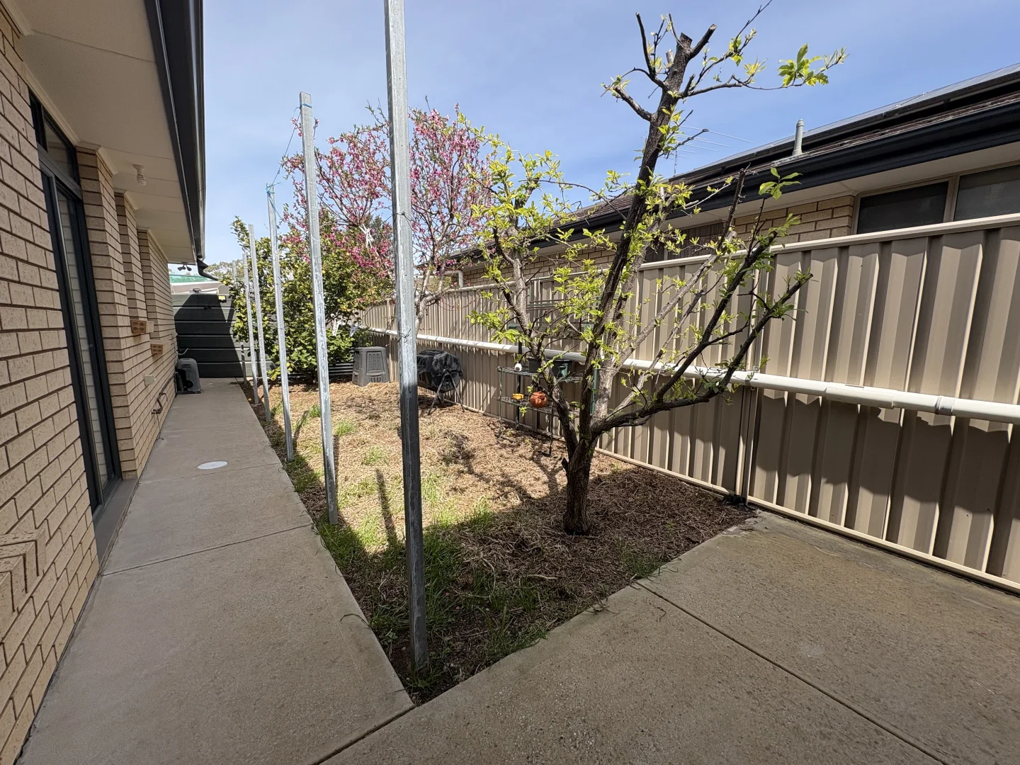 Additional image 15 of 12 Laffer Avenue, Nuriootpa SA 5355