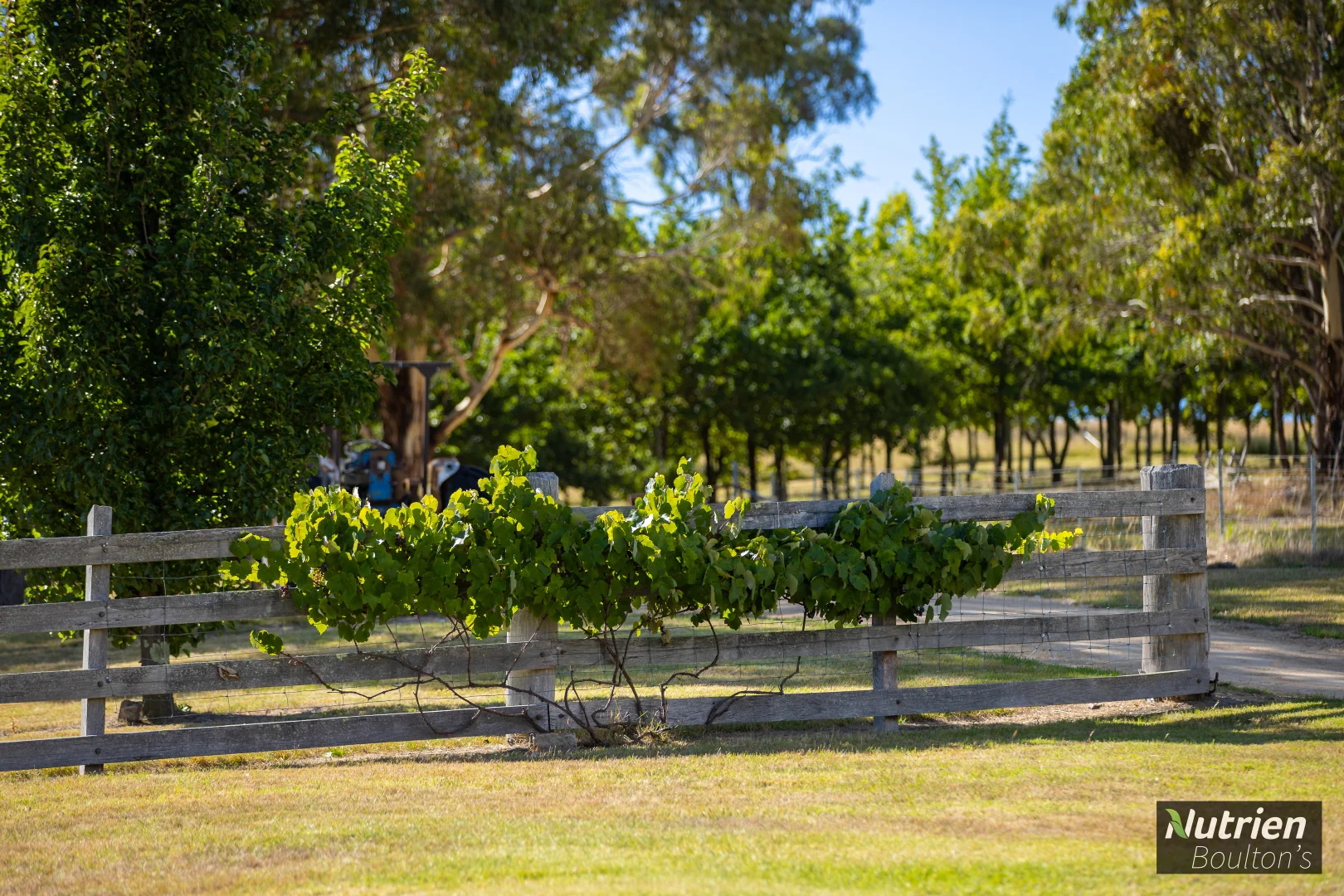 Additional image 12 of 224 Niangala-Walcha Road, Niangala NSW 2354