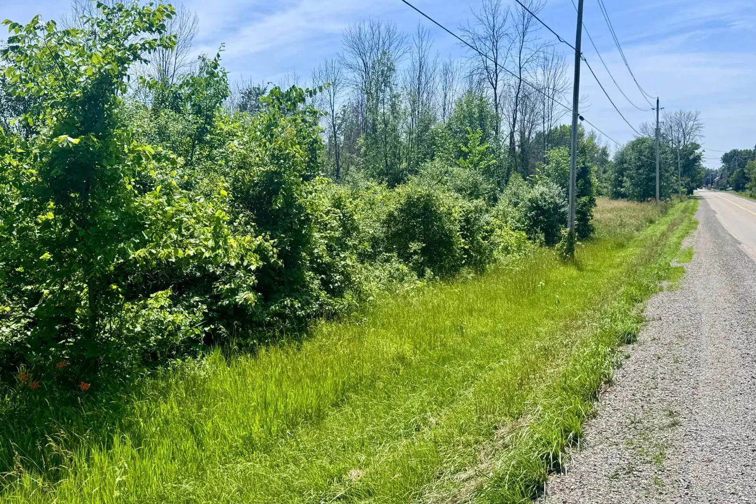 Additional image 7 of 00 County Road 8 Road
