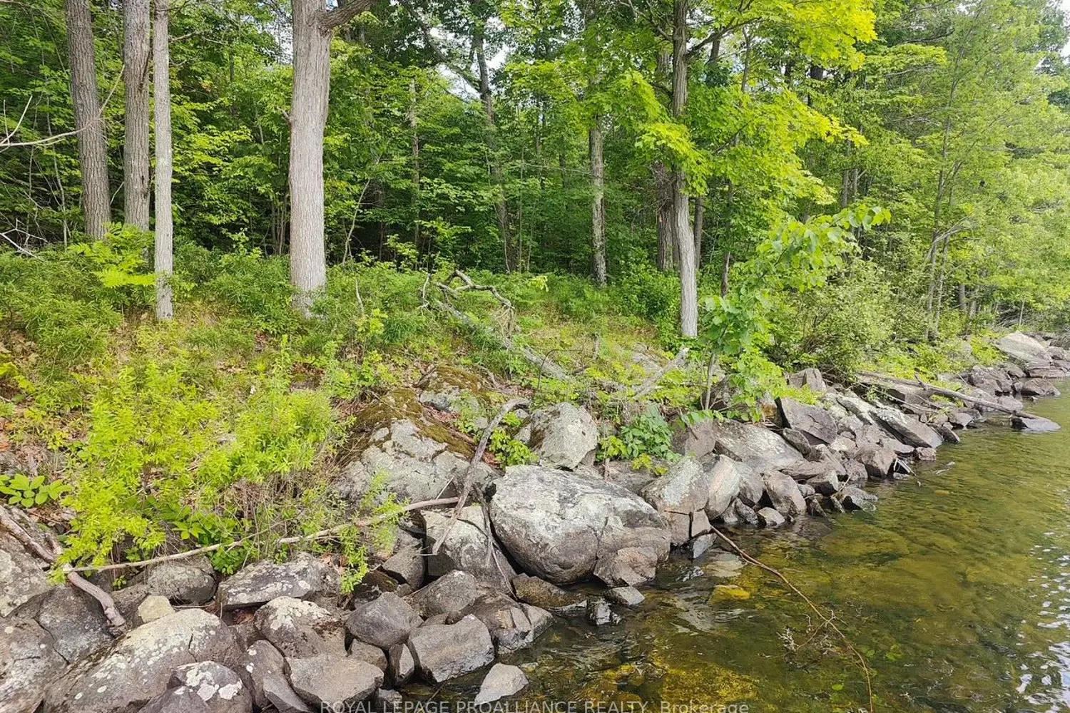 Additional image 3 of 621A Cook Road