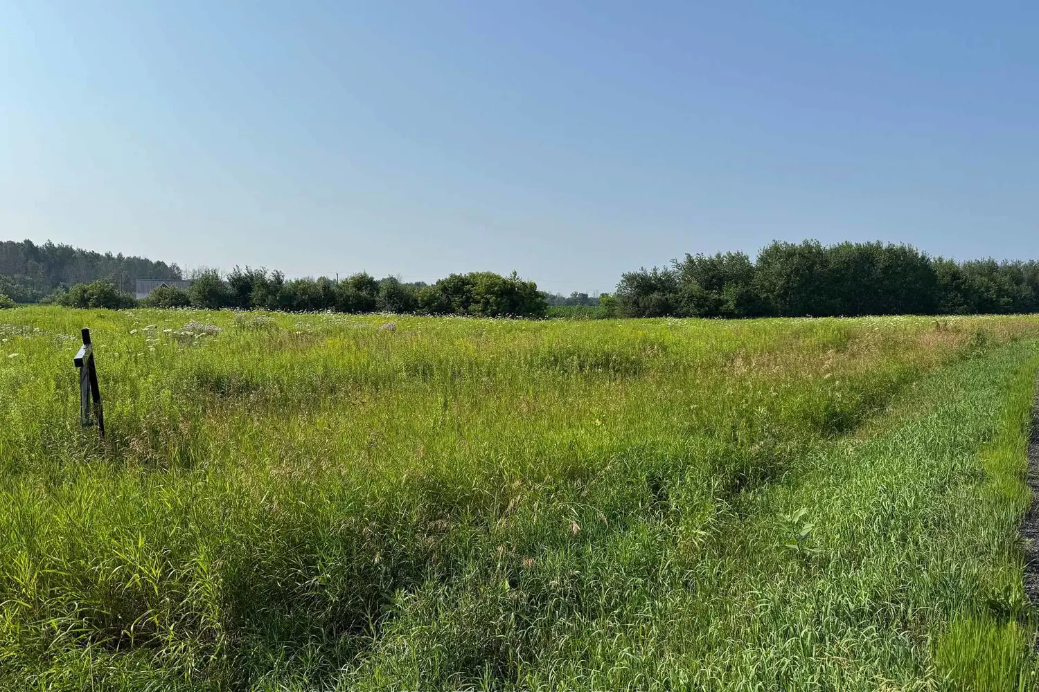 Additional image 2 of Lot South Branch Road