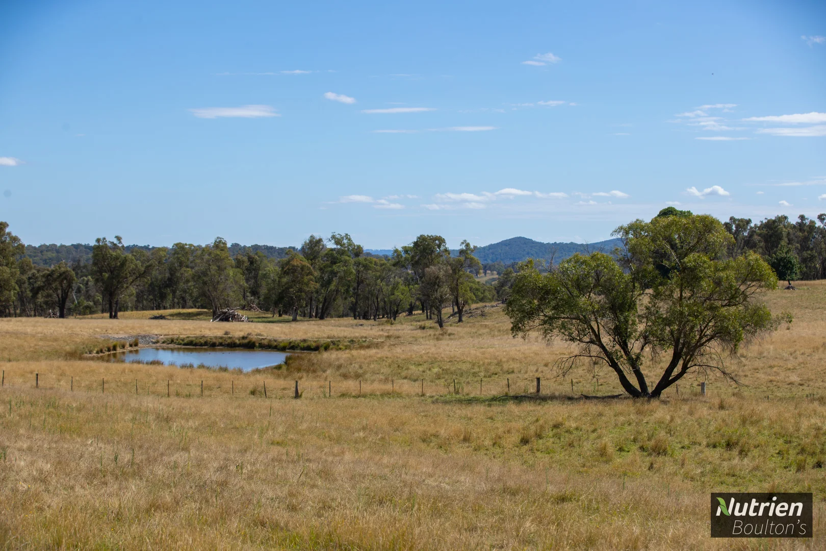 Additional image 20 of 224 Niangala-Walcha Road, Niangala NSW 2354