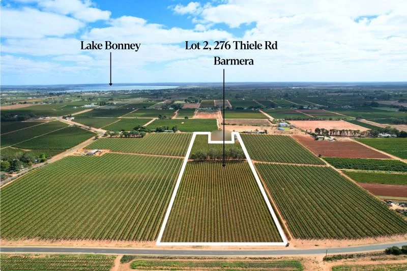 Lot 2 - 27 Thiele Road, Barmera SA 5345