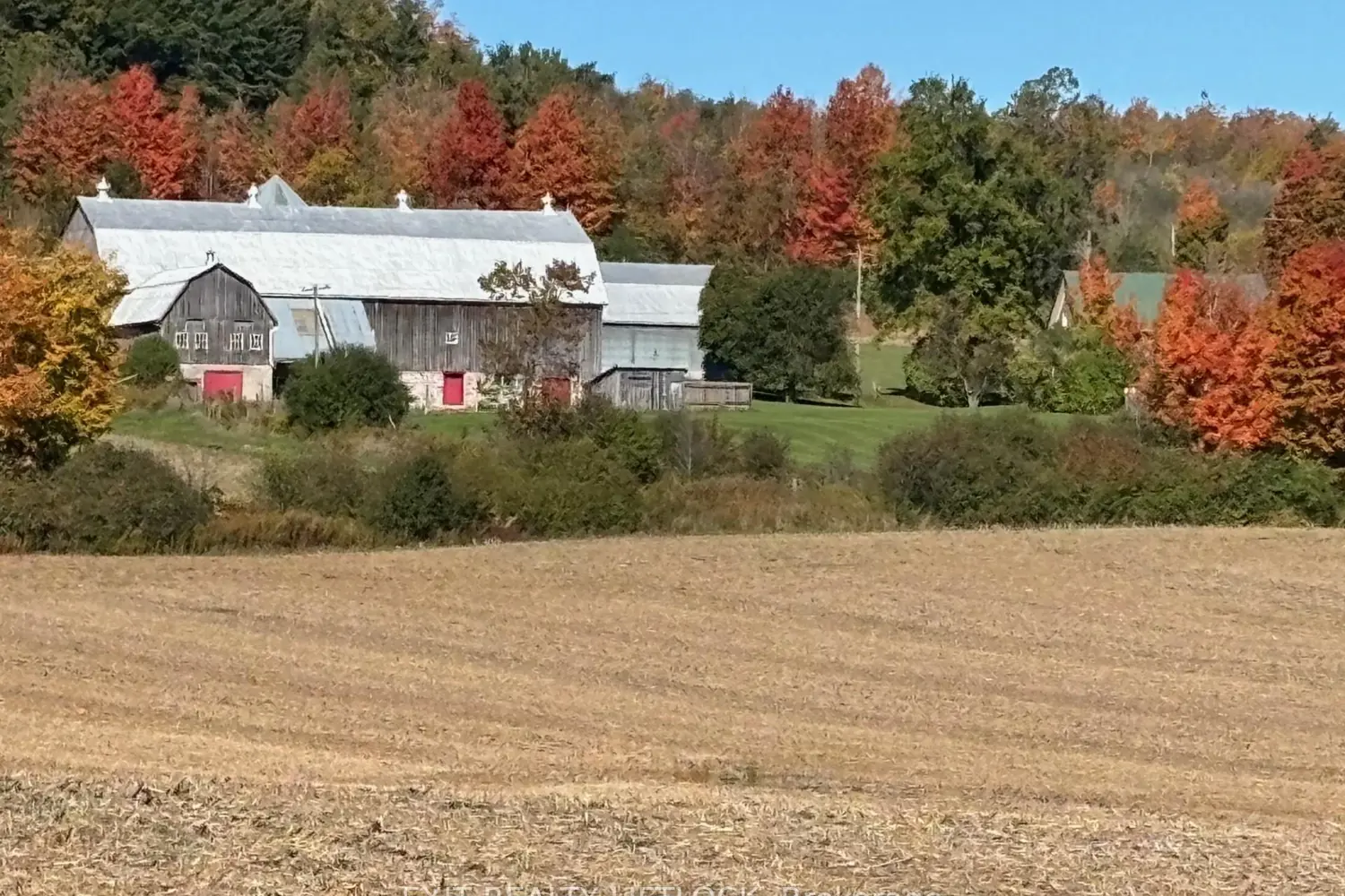 Additional image 12 of 404 Morton Line