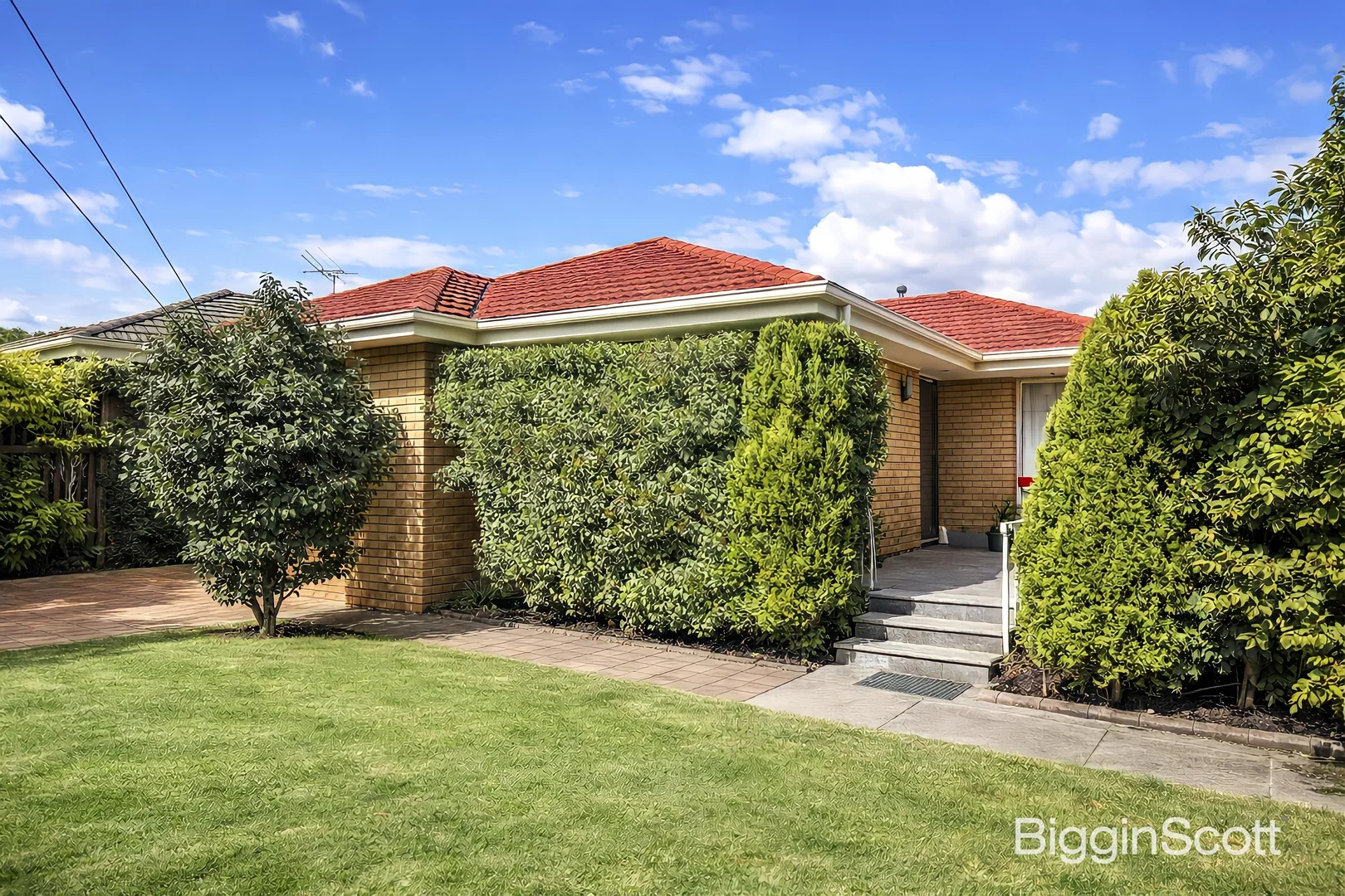Additional image 2 of 24 Argus Street, Cheltenham VIC 3192