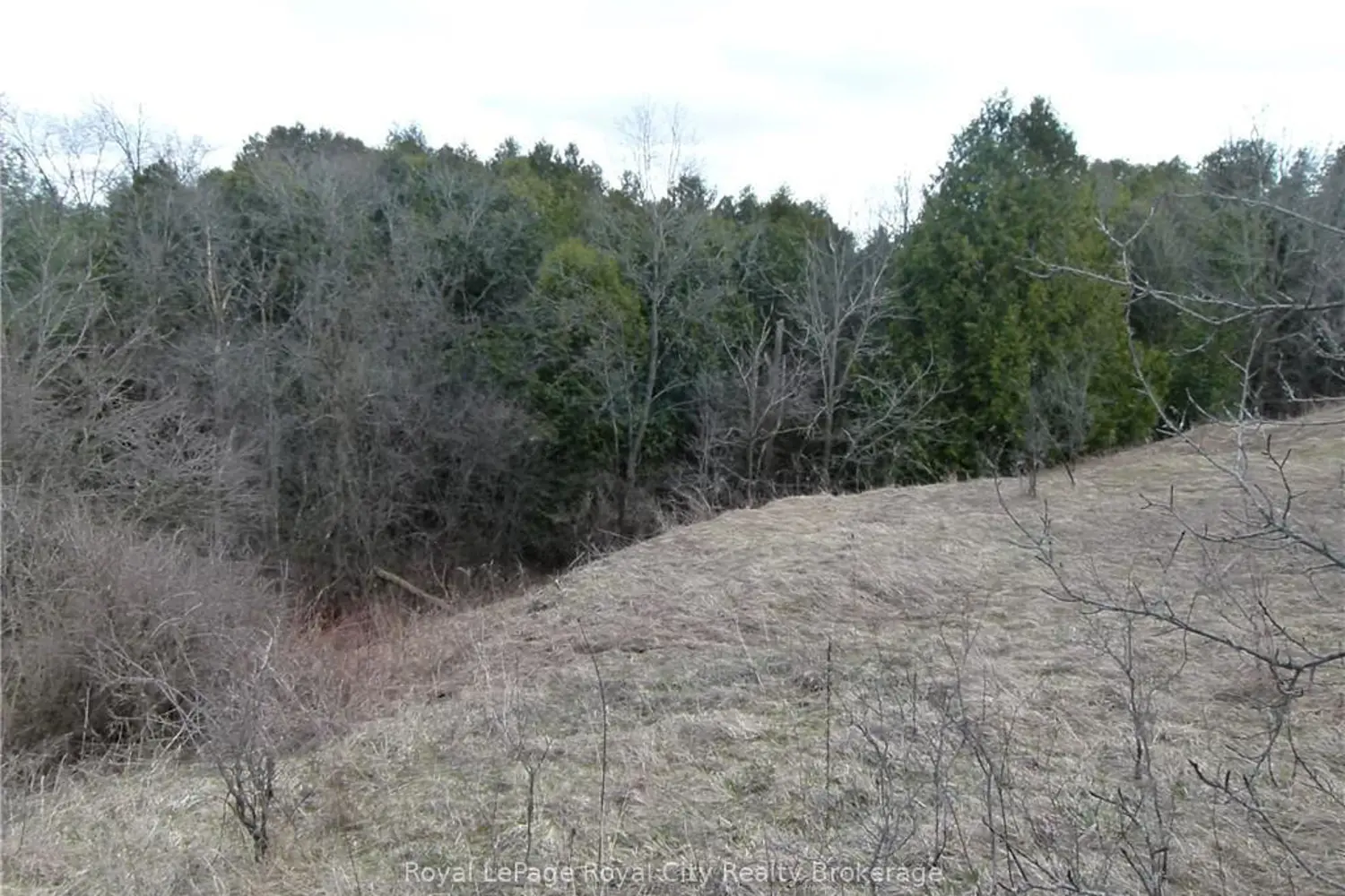8256 Highway 7 photo 4
