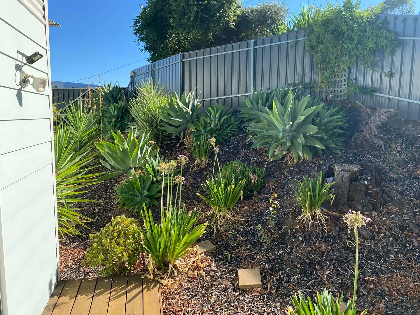 Additional image 19 of 438 Main Road, Coromandel Valley SA 5051