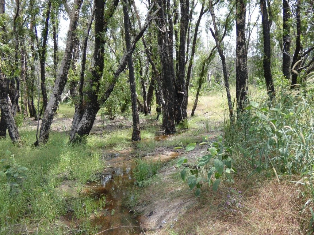155 Serrata Road, Dundee Downs NT 0840