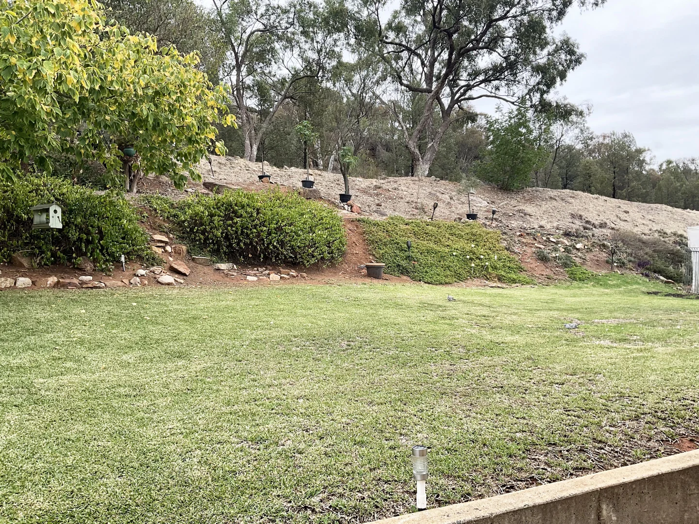 Additional image 15 of 6 Evans Place, Griffith NSW 2680