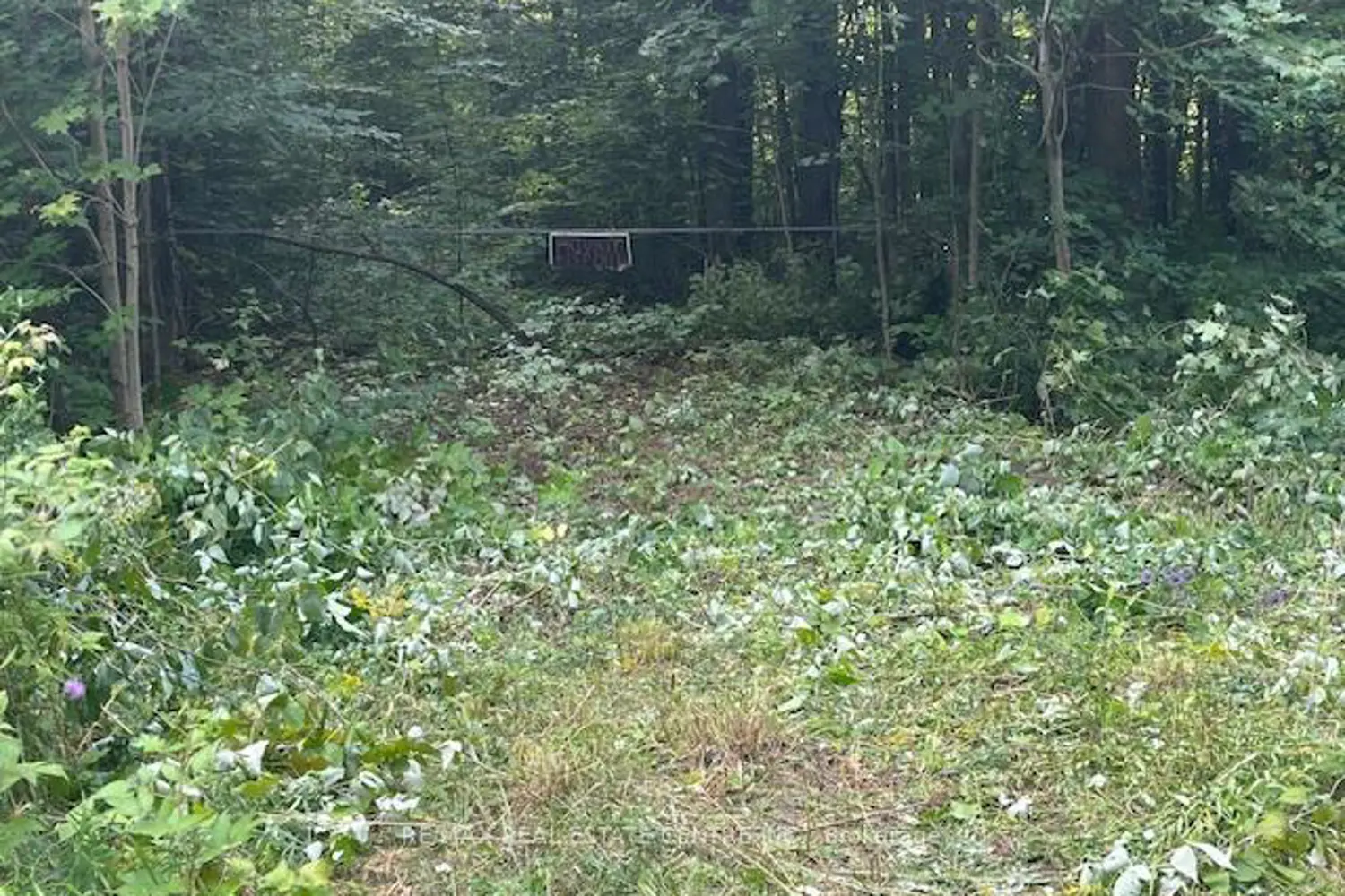 Additional image 6 of Pt Lt44 Chatsworth 24 Road