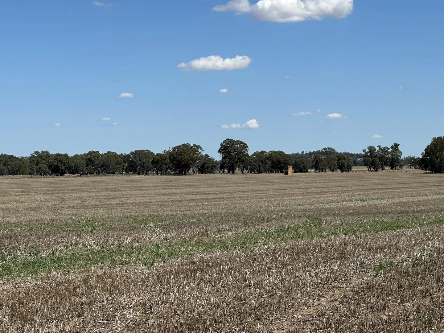 Additional image 13 of 1501 Howlong-Goombargana Road, Brocklesby NSW 2642