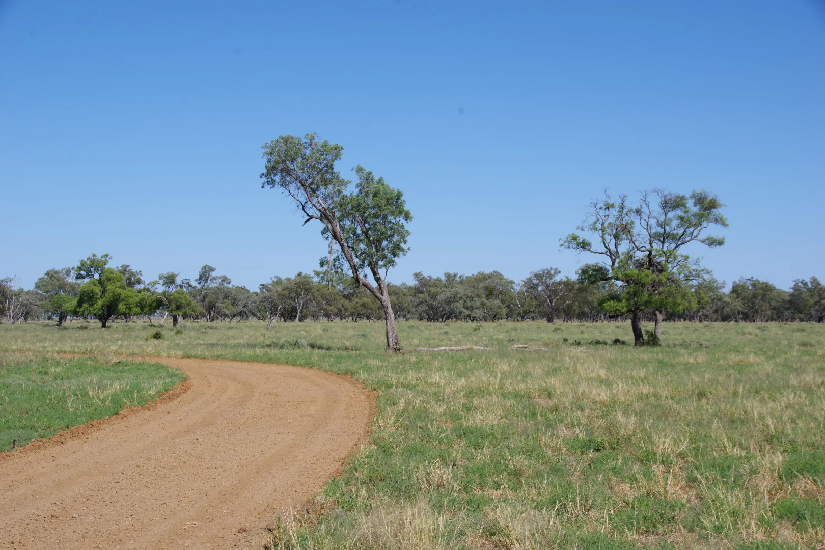 Additional image 5 of . Sunnyside Lane, Wee Waa NSW 2388